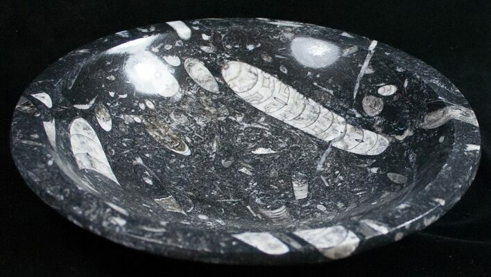 Fossil Orthoceras Bowl - Stoneware #11324